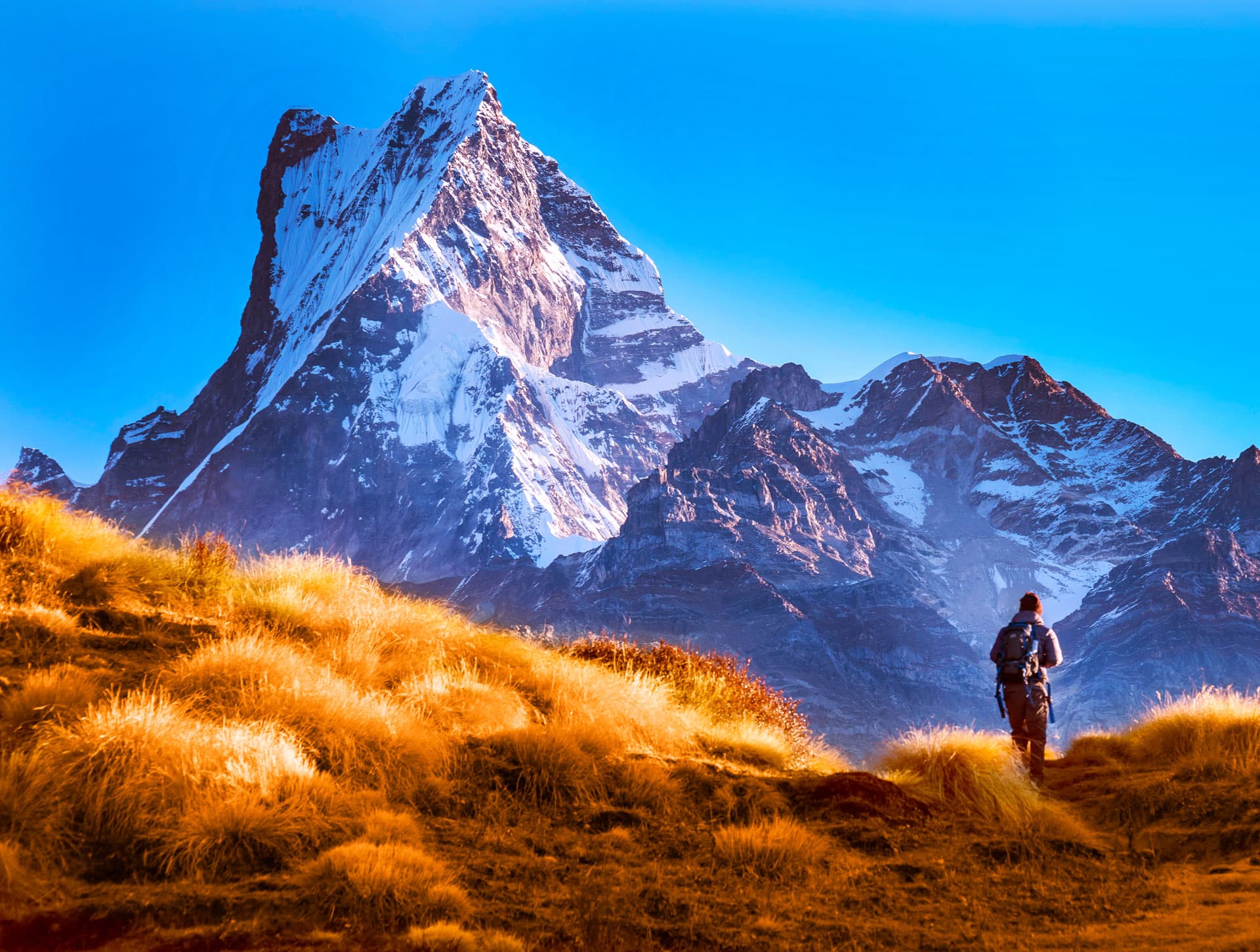 beautiful himalayas and machhapuchre