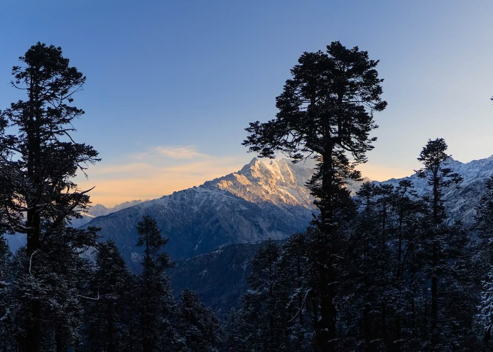 Langtang National Park: Permit, Trekking, Flora and Fauna